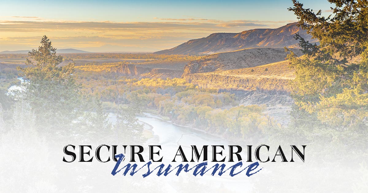 Secure American Insurance cover